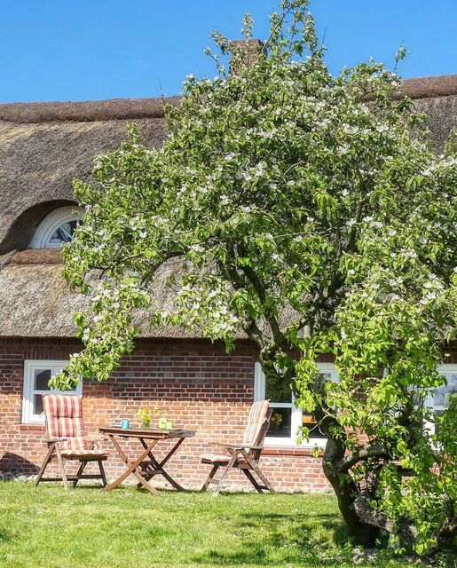 Reetdachhaus Haubarg-Kieker